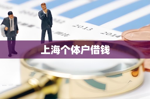 上海个体户借钱 上海个体户借钱