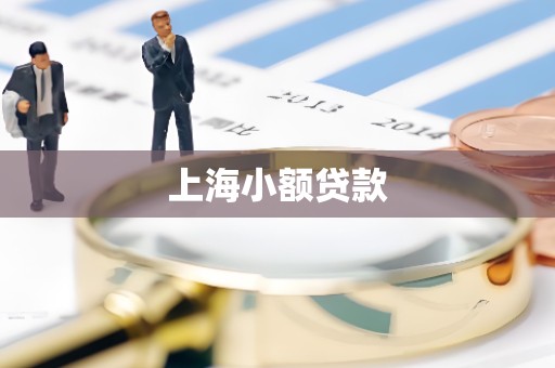 上海小额贷款